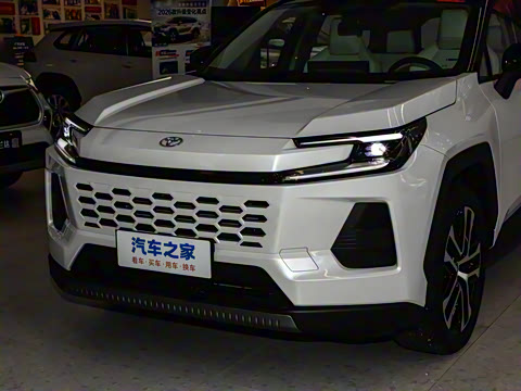 2026�� 2.0L ���ܵ��˫�� PRO+