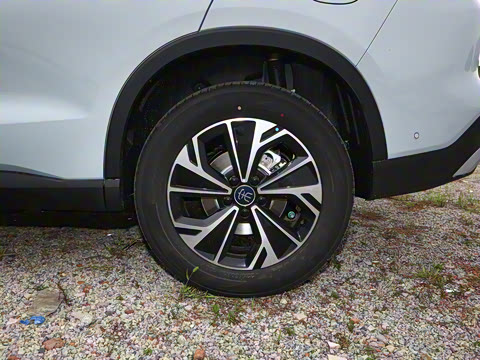 2026�� DM-i 133KM��Խ��