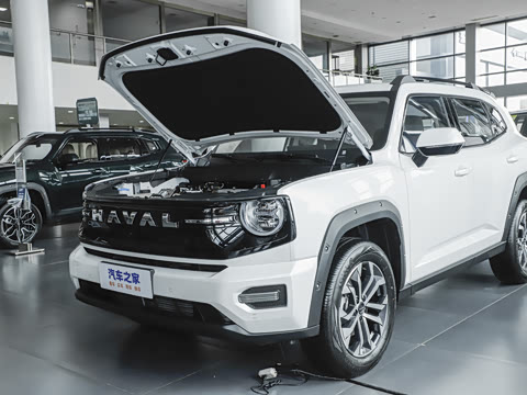 2026�� 1.5T ��Ȥ��