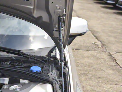 2026�� B4 ��Զ������