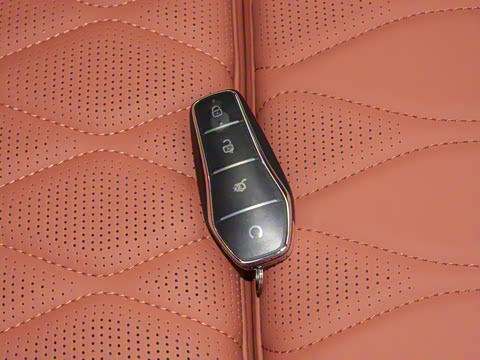 2025�� �Ǽݰ� DM-i 175KM �����״��콢��