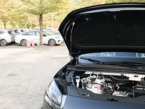 2026�� 650�Ǻ���