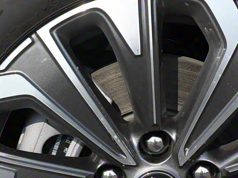 2026�� 25T �����׽��