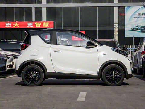 2026�� 271km �氮��