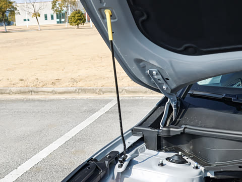 2026�� ����������