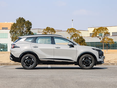 2026�� ����������