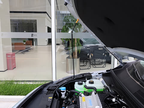 2026�� Ӱ�� 270T ������