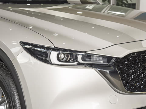 2025�� 2.0L �Զ�����������