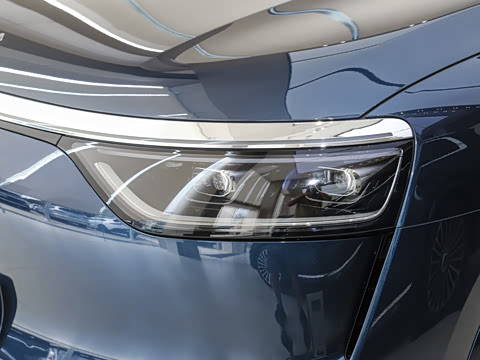 2025�� ���� Max+ ������������ 