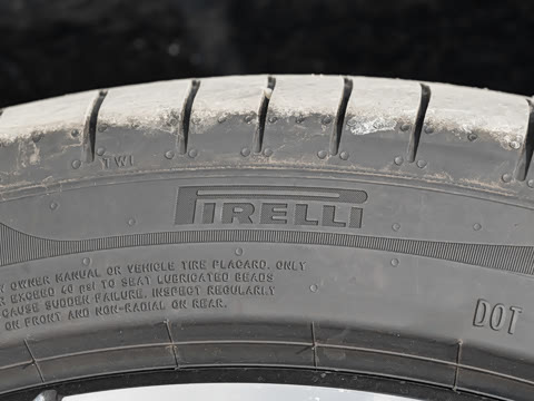 2026�� �ǻ�������