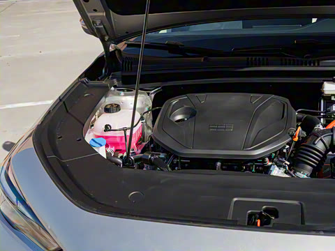 2026�� 125km̽��+��