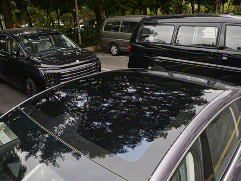 2026�� 565������