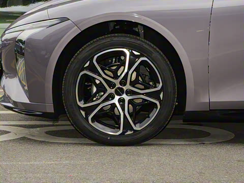 2026�� 565������