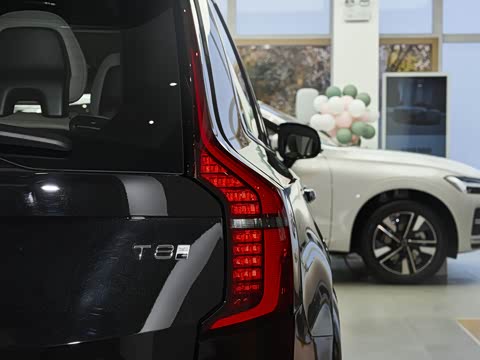 2026�� T8 ��������� 7��