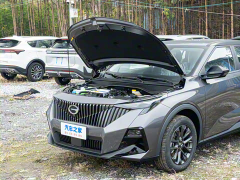 2026�� Ӱ�� 270T ��ȡ��