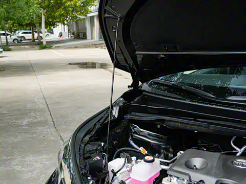 2026�� 2.5L�춯 ���ʰ�