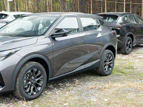 2026�� Ӱ�� 270T ��ȡ��