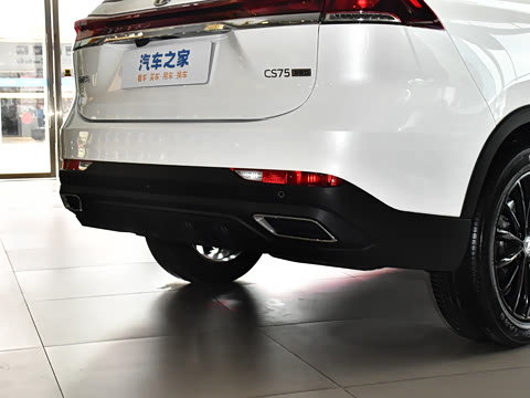 2025�� PRO 1.5T DCT ������ 7��