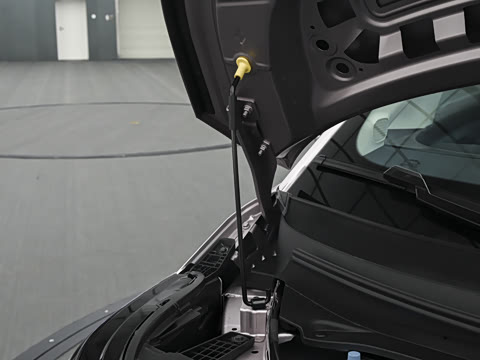 2026�� ������