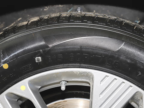 2026�� 565km ������