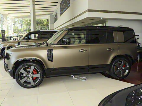 2025�� 110 3.0T P400 X