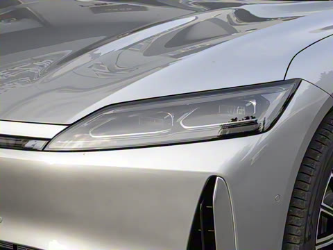 2025�� 260���������