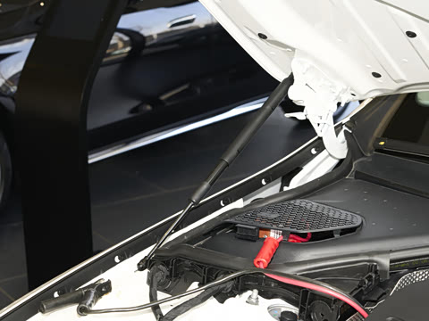 2026�� E 300 �������˶���