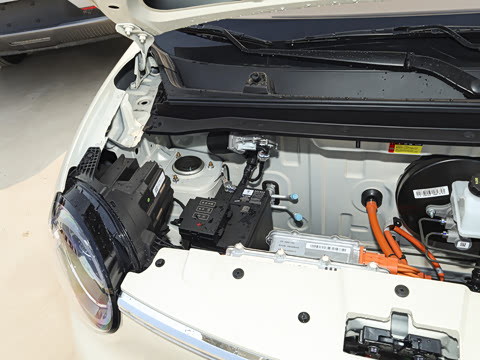 2026�� ����� 205km ���׿�