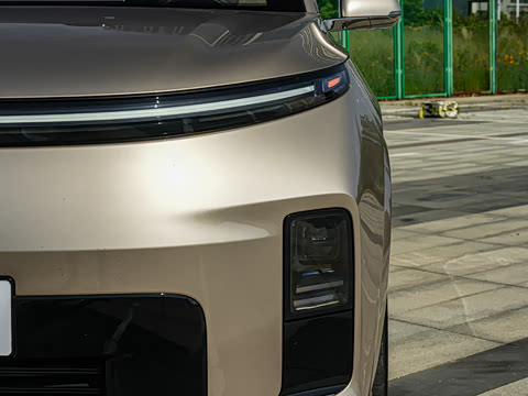 2026�� Livis