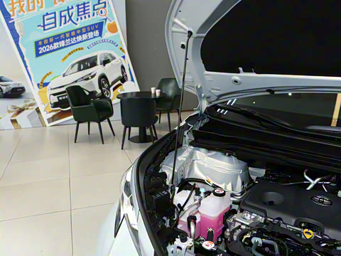 2026�� 2.5L ˫��������������