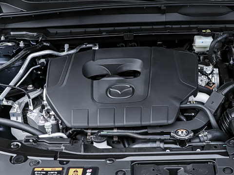 2026�� 2.5L ���а�