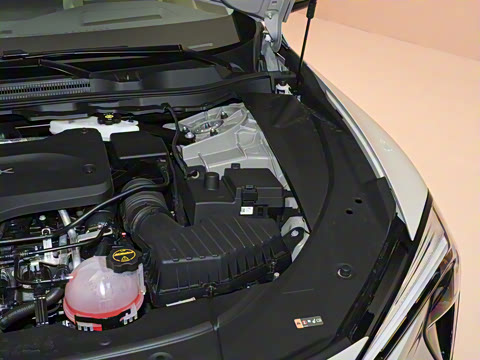 2025�� ��ά��