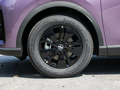 2026�� 600km ������