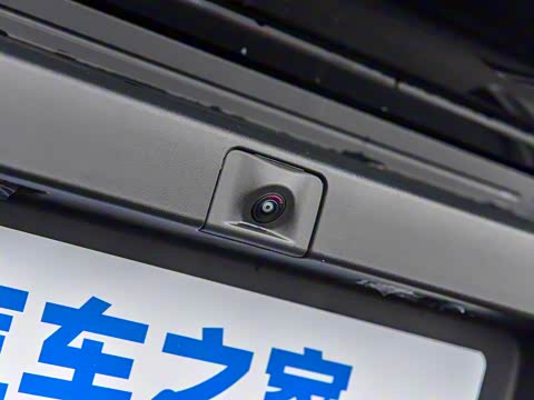 2025�� 520���������