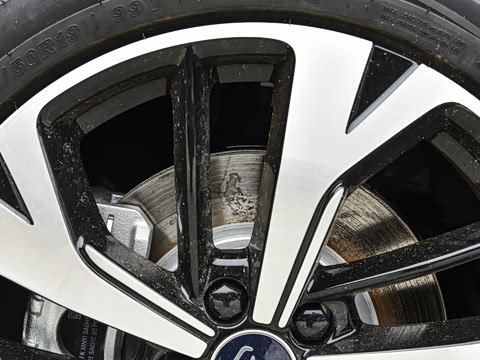 2026�� DM-i 220KM��Խ��