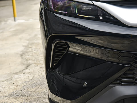 2026�� DM-i 220KM��Խ��