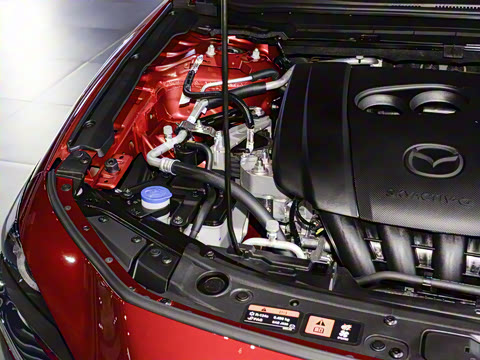 2025�� 2.0L �Զ������