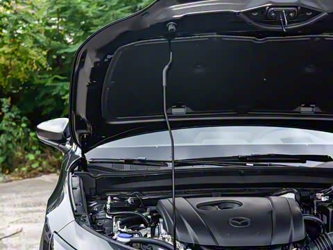 2025�� 2.0L �Զ�������