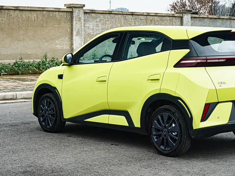 2026�� 305km ���ɰ�