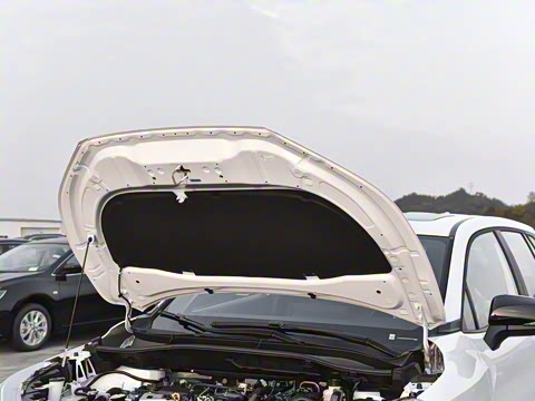 2026�� 2.0L ���ܵ��˫�� ����PLUS��