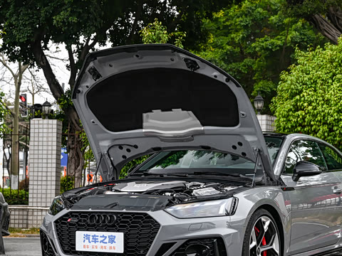 2024�� RS 5 2.9T Coupe ȼ���