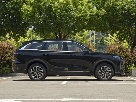 2026�� 220 �������콢��