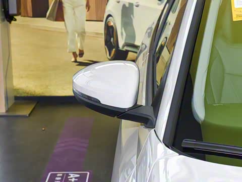 2026�� Pro 300TSI �������