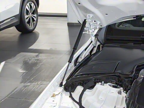 2026�� C 260 L �ҹ�˶���