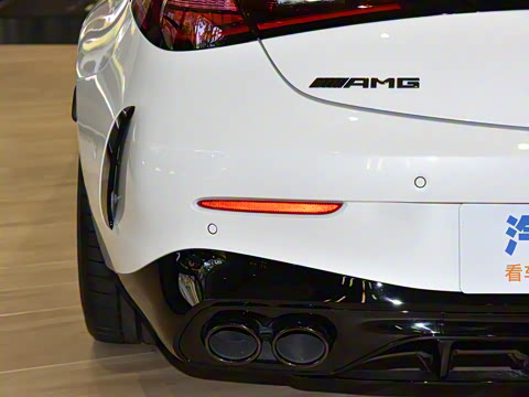 2025�� AMG CLE 53 4MATIC+ ������ܳ�