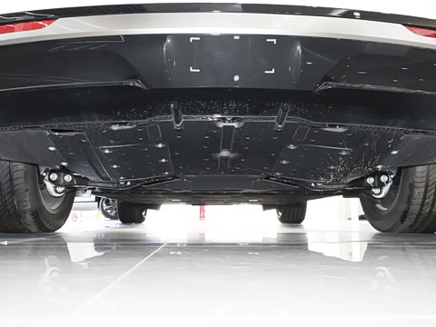 2025�� 825 Max��