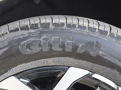 2025�� 147km ��������