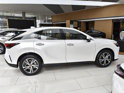 2026�� 300 ����������