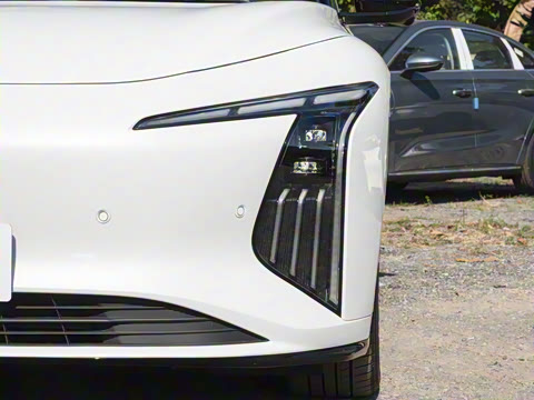 2026�� 650����������