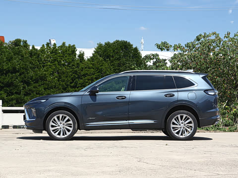 2026�� ������Plus ����Avenir��ά��